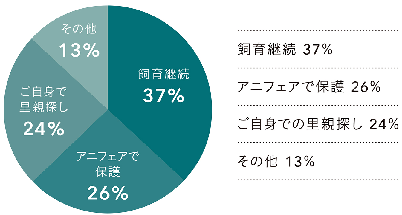 飼育継続 37%・アニフェアで保護 26%・ご自身での里親探し 24%・その他 13%