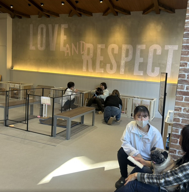 マークイズ福岡ももちシェルター（プレオープン）>