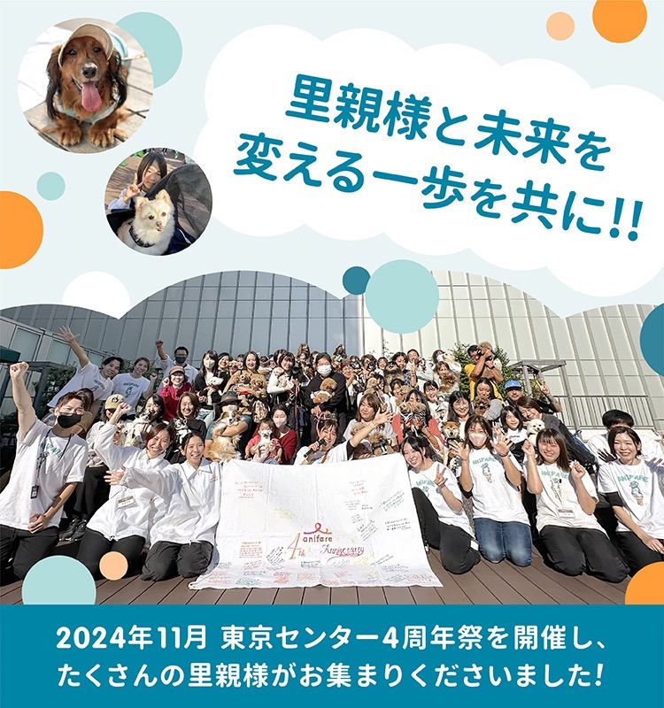 保護犬に、医療と、家族を。｜アニフェア 保護犬の里親募集